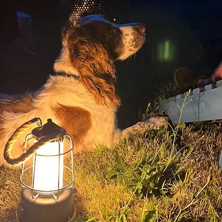 Luxury tent Tregantle Farm Eco Glampsite