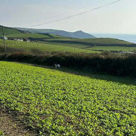 Tregantle Farm Eco Glampsite Lüks kamp alanı *